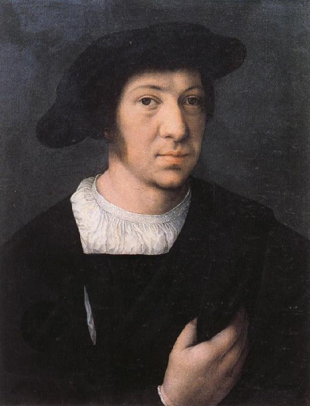 Bernard van orley Portrait of a Man